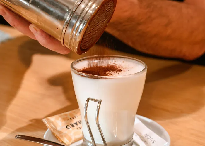 酒店 Suzane 昂热